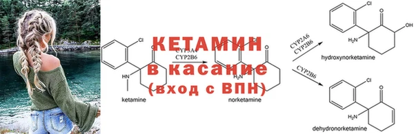 хмурый Лиски