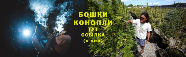 хмурый Лиски