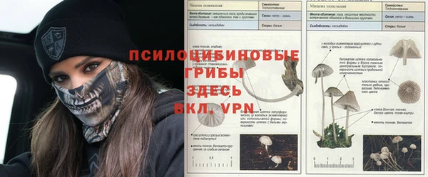 бошки Лихославль