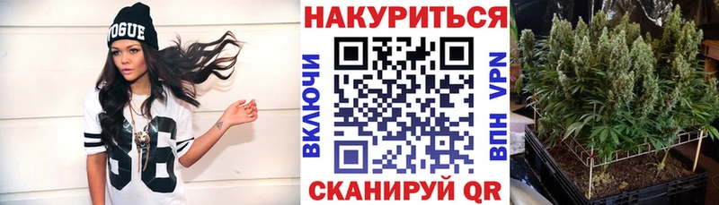 Купить где  Дубна  Конопля Bruce Banner 